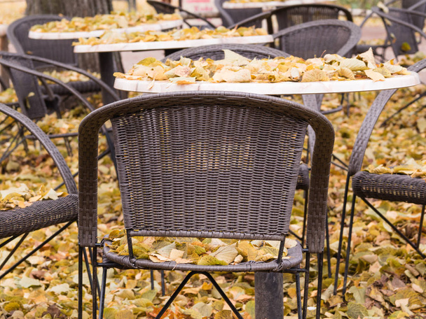 Empty terrace cafe outdoors in autumn. Fallen leaves on a table and chairs - Foto, Imagen