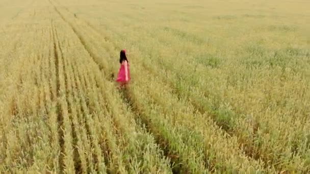 Beautiful girl in red retro dress running in golden field. Freedom concept. Happy woman outdoors. Harvest, agriculture concept. Aerial flight over wheat field. - Video, Çekim