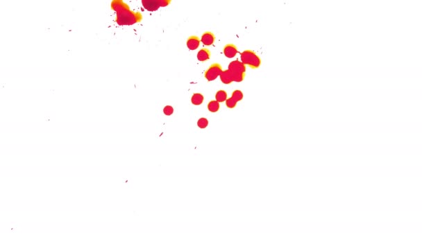 Propagation du sang rouge sur fond blanc
 - Séquence, vidéo