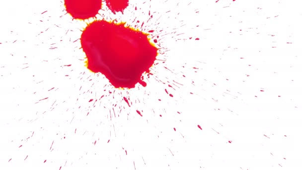 Sangre roja se extiende sobre fondo blanco
 - Metraje, vídeo
