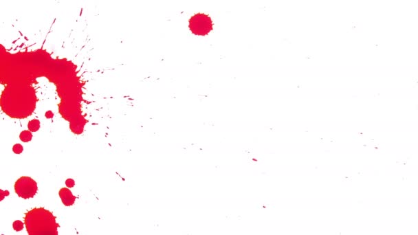 Червоні кров'яні поширився на білому тлі - Кадри, відео