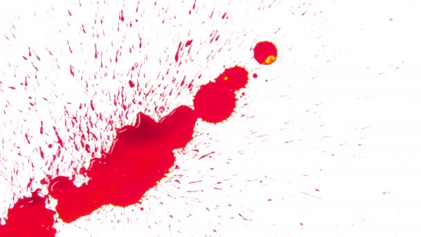 Κόκκινο αίμα εξαπλωθεί σε λευκό φόντο - Πλάνα, βίντεο