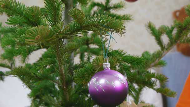Young boy decorates a Christmas tree - Кадри, відео