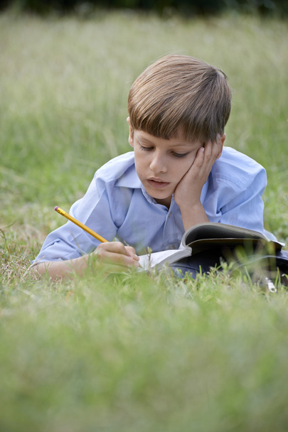 Молодий школяр робить домашнє завдання на самоті, лежачи на траві
 - Фото, зображення