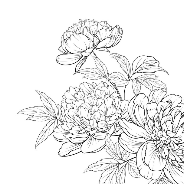 Spring flowers bouquet of peony garland. - Vector, Image