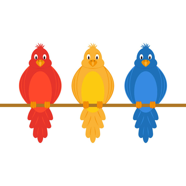 Красочные попугаи
  - Вектор,изображение