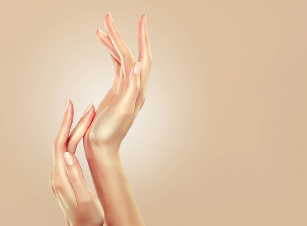 Közelkép kép világos rózsaszín manikűr a köröm gyönyörű női kéz. Krém, manikűr- és szépségápolási kezelés. Elegáns és kecses kar, karcsú, kecses ujjakkal. Bőrápolás - Fotó, kép