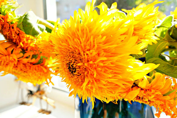 Auringonkukka maljakossa pöydällä
 - Valokuva, kuva