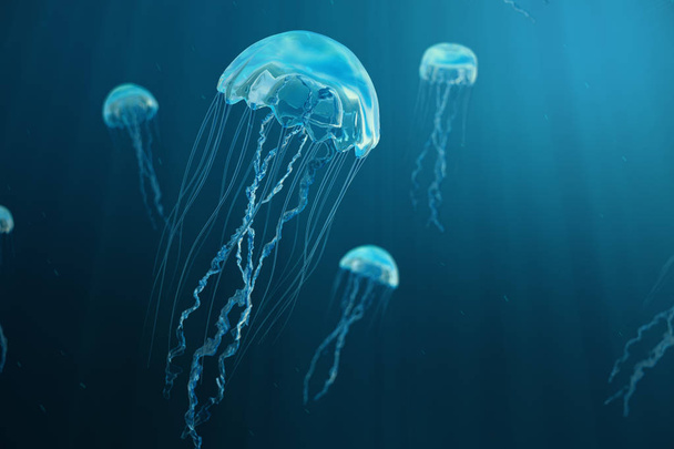 3D illustration background of jellyfish. Jellyfish swims in the ocean sea, light passes through the water, creating the effect of volume-rays. Dangerous blue jellyfish - 写真・画像