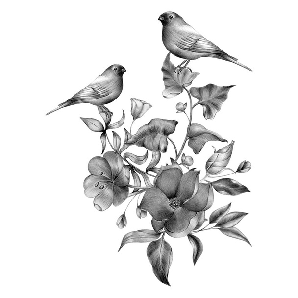 Egy kézzel rajzolt monokróm összetétele vintage virágok és a madarak. Tavaszi madarak, ágak virág ül. Lineáris vésett art. - Fotó, kép