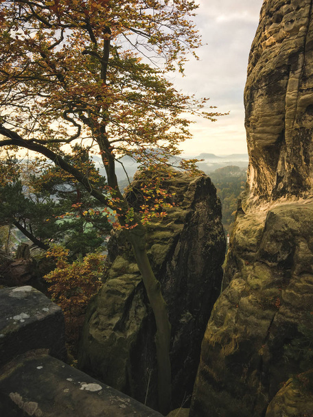 Grande atmosfera mattutina con nebbia e nuvole al Bastei, una formazione rocciosa vicino al fiume Elba nel parco nazionale tedesco della Svizzera sassone. Escursioni e arrampicate nelle meravigliose catene montuose delle montagne di arenaria dell'Elba
. - Foto, immagini