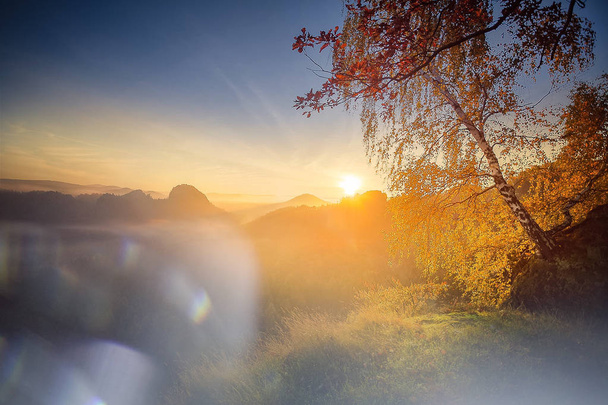 Meditazione in luce soffusa nel parco nazionale tedesco della Svizzera sassone vicino a Dresda. Escursioni e arrampicate nelle meravigliose catene montuose delle montagne di arenaria dell'Elba
. - Foto, immagini