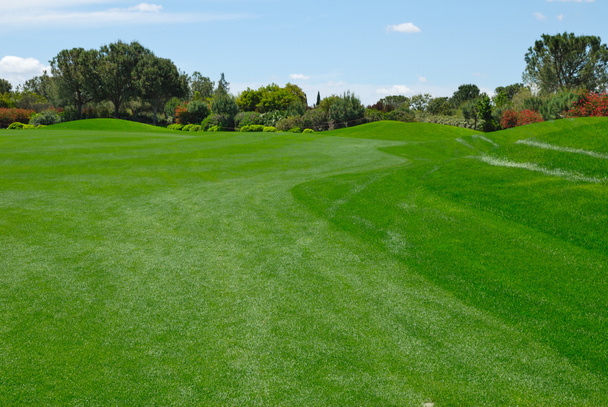 yeşil çimen golf - Fotoğraf, Görsel