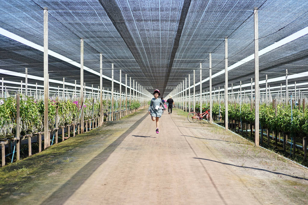 Портрет азіатські маленька дівчинка ходити відкритий ферми орхідей в сонячний день - Фото, зображення