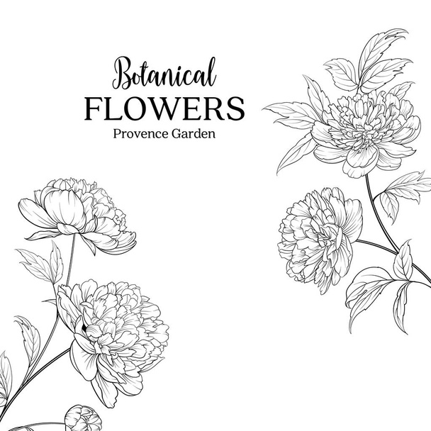 Botanical flowers garland. - Vector, Image