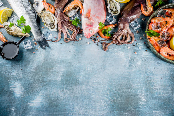 Verse rauwe schaal-en schelpdieren, inktvis, garnalen oester mosselen vis met kruiden kruiden citroen op een licht blauwe achtergrond kopie ruimte bovenaanzicht  - Foto, afbeelding