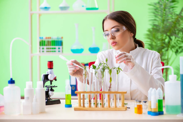 Bella scienziata biotecnologica donna chimico che lavora in laboratorio - Foto, immagini