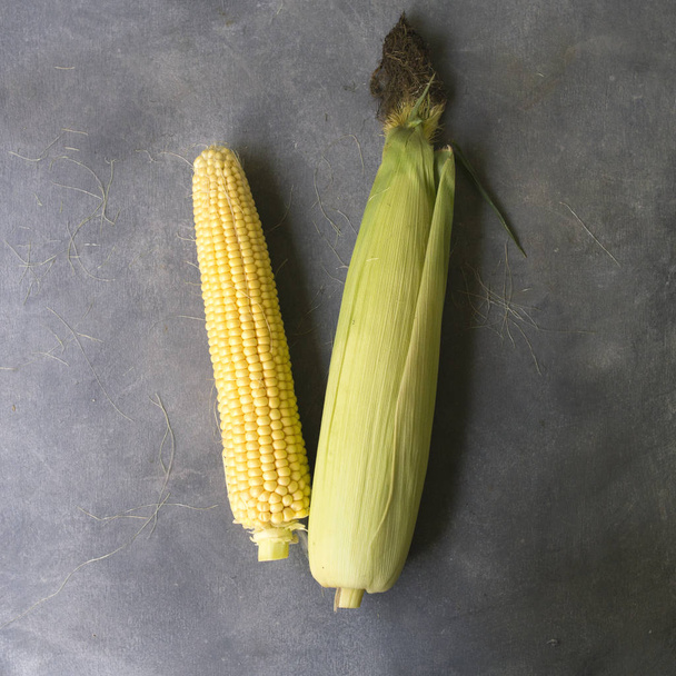 Dos mazorcas de maíz sobre un fondo gris
 - Foto, imagen