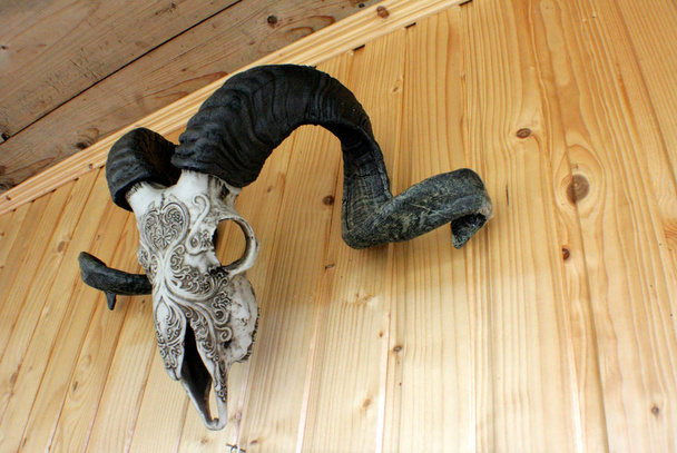 Skull and horns of a ram. Decorated by folk craftsmen carving on the bone. Hanging on a wooden wall. - Photo, Image