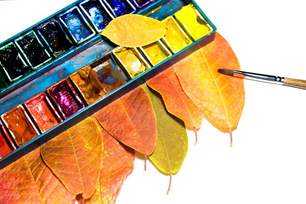 Piękne i bardzo kolorowe liście jesienne drzewa znajdują się pod paletę farb olejnych. Tworzony jest piękne i kolorowe abstrakcji. - Zdjęcie, obraz