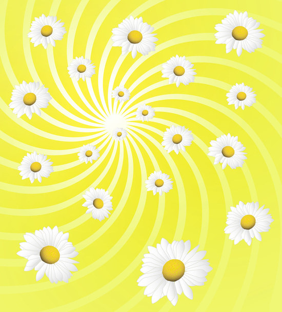 Background with daisies - Wektor, obraz