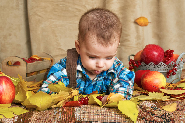 concepto de otoño - niño acostado sobre hojas amarillas con frutas y verduras, manzanas rojas y calabazas
 - Foto, Imagen