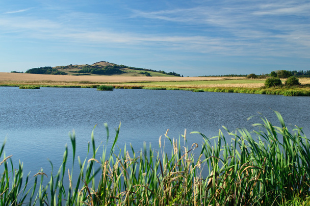 El estanque en el prado
 - Foto, imagen