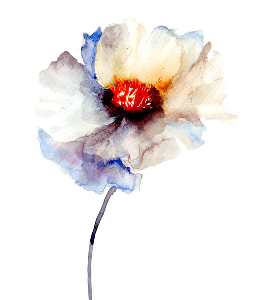 El capullo de la flor blanca
 - Foto, Imagen
