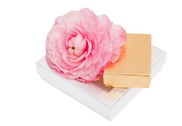 Shiny gift set with flower - Photo, Image