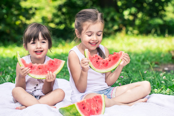 two little cute baby girls sisters eating watermelon in nature, playing and having fun, baby food concept and family time spending - Photo, Image