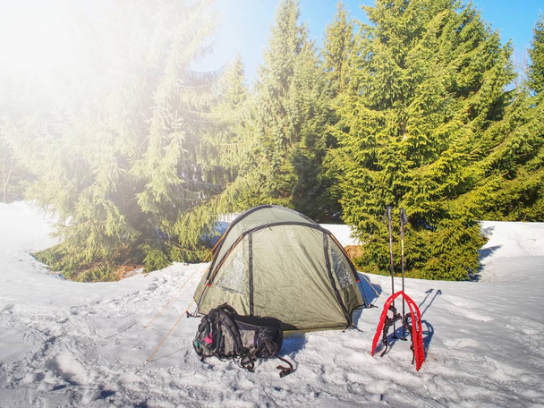 A hó a téli erdőben, a hegyekben a könnyű sátor. Havas táj elalszik.  - Fotó, kép