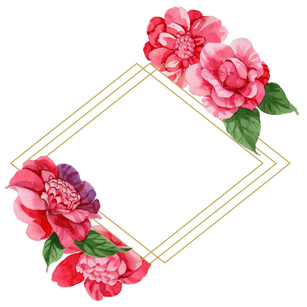 Aquarel roze camellia klimmen bloem. Floral botanische bloem. Frame grens ornament vierkant. Aquarelle wildflower voor achtergrond, textuur, wrapper patroon, frame of rand. - Foto, afbeelding