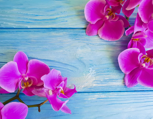 flor de orquídea em um fundo de madeira azul
 - Foto, Imagem