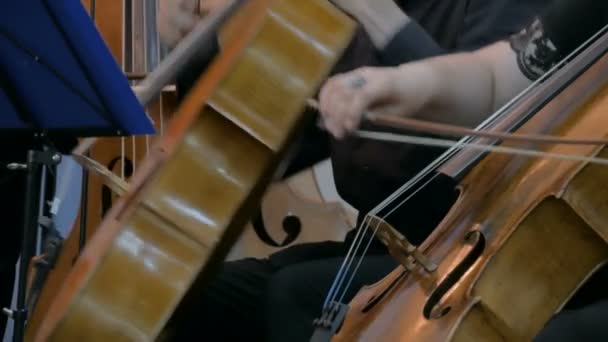 Donna e uomo suonano il violoncello - Filmati, video