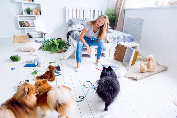dogs in the middle of mess they created at home - Foto, Imagem