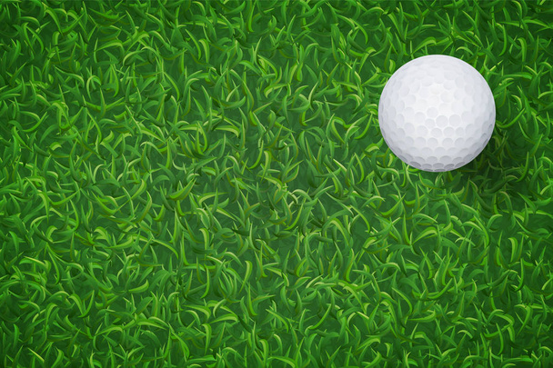 Golf ball on green grass texture background. Vector illustration. - Vector, Image