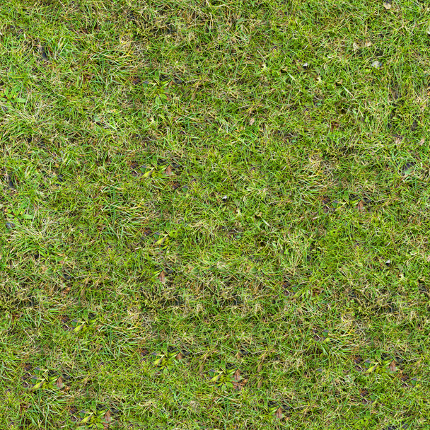 Grass Texture. - Photo, Image