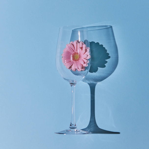 A glass with a pink gerbera and a reflection of a shadow on a blue background. Blooming concept. A layout for a postcard or background. Flat lay - Zdjęcie, obraz