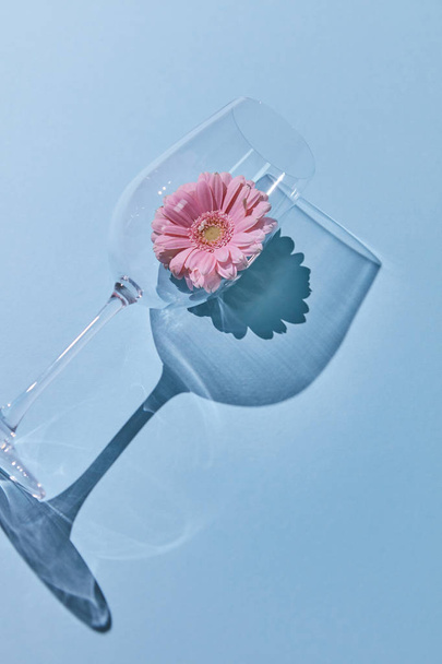 Creative composition from a glass and pink gerbera with a shadow on a blue background. Layout for greeting card or background. Minimalist concept - Φωτογραφία, εικόνα