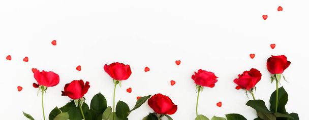 Valentine's day background . Frame of a beautiful red roses and red hearts on white background. top view. Copy space. banner - Foto, Bild