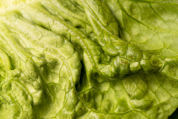 close up of organic crispy lettuce leaves - Fotografie, Obrázek