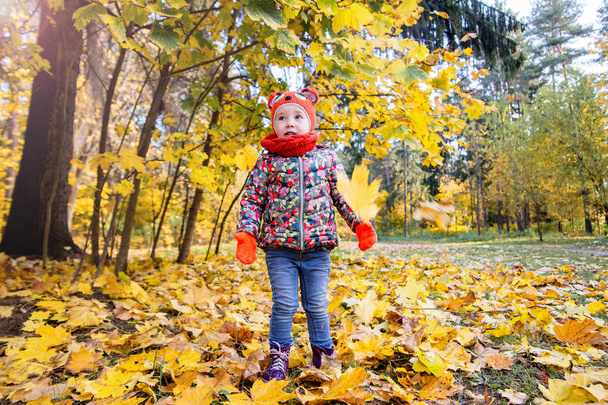фото маленької дівчинки в осінньому парку
 - Фото, зображення