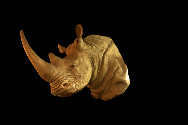 Rhino of neushoorn dicht Effect, gold filter - Foto, afbeelding