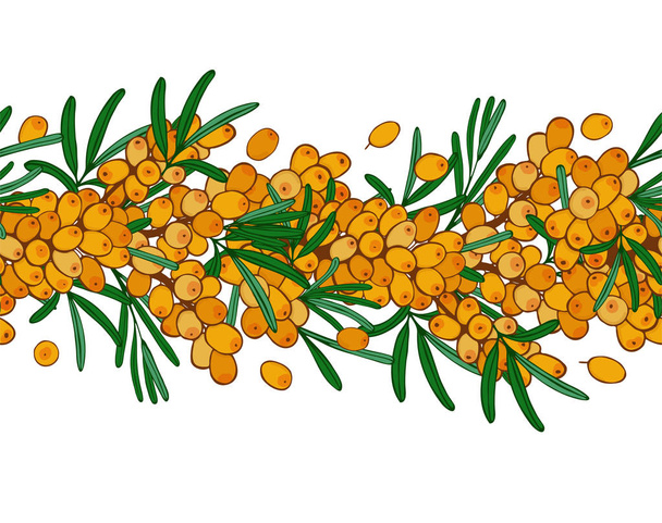 seamless ornament branch of sea buckthorn with berries.  seaberry - Photo, Image