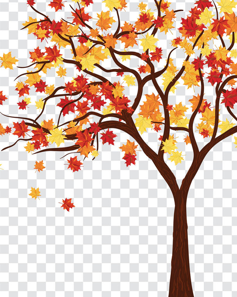 Φθινόπωρο καρέ με πτώση φύλλα σφενδάμου σε διαφάνεια (άλφα) πλέγμα φόντο. Εικονογράφηση διάνυσμα. - Διάνυσμα, εικόνα