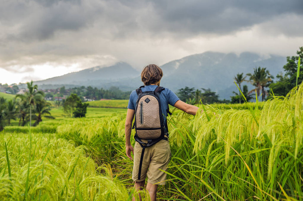 rear view of young man traveler at Jatiluwih Rice Terraces, Bali, Indonesia. - Photo, Image
