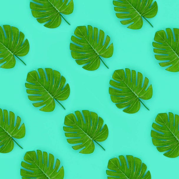 Folhas de monstera de palma tropical jaz em um papel de cor pastel. Natureza verão conceito padrão. Composição de leigos planos. Vista superior
 - Foto, Imagem