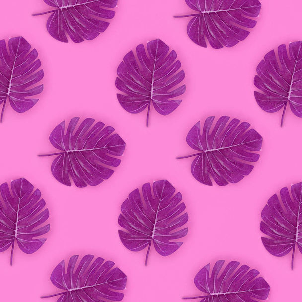 Tropische palm monstera bladeren ligt op een pastel gekleurd papier. Natuur zomer concept patroon. De samenstelling van het plat lag. Bovenaanzicht - Foto, afbeelding