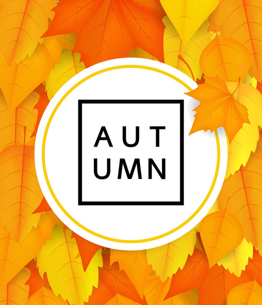 Fall leaves. Autumn background. Vector - Διάνυσμα, εικόνα
