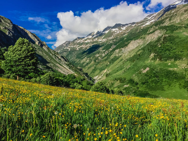 Красивый горный пейзаж со свежей зеленой травой
 - Фото, изображение